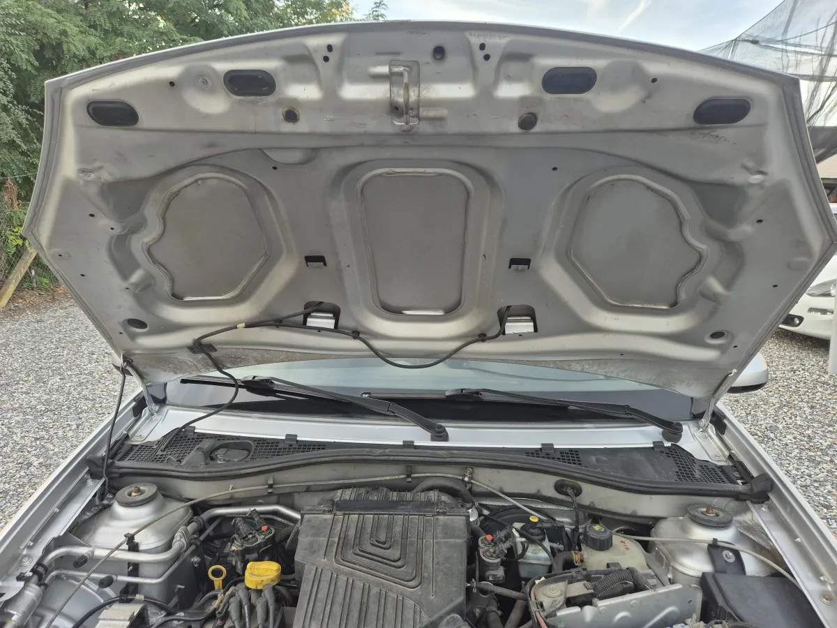 Dacia Stepway 1.6 lpg (2012) - slika 37